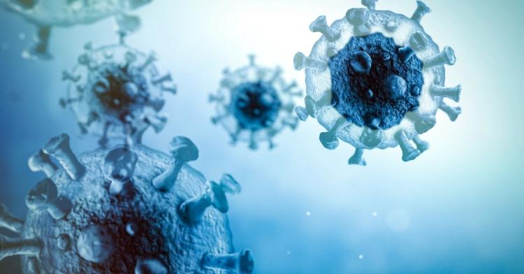 Por qué el resfriado común puede proteger contra la infección por COVID19